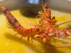 -金龙·打边炉(南京西路店)