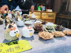 -芙蓉泉·烤鸡爪(芙蓉街店)