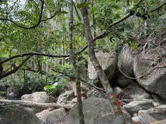 -七仙岭温泉国家森林公园