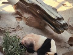 -宁波野生动物园