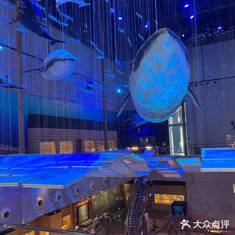 广州亲子好去处|来这里看大鲸鱼🐳广东省博物馆