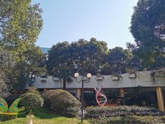 -上海市民办金苹果学校