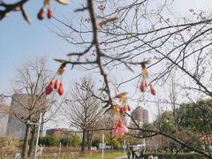 -大宁公园