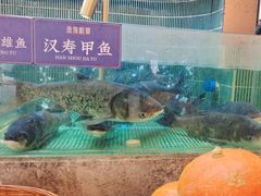 -鱼你相聚·河鲜馆(袁家岭店)