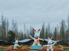 -东平国家森林公园