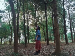 -白鹭湾湿地公园