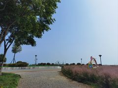 -贡湖湾湿地公园