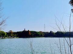 -新洲生态园
