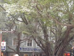 -黄埔古港