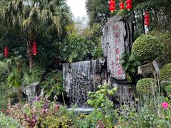 -广州市流溪河国家森林公园