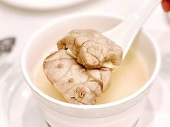 杏汁花胶炖白肺-翠园(北京王府中环店)