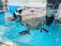 -上海野生动物园