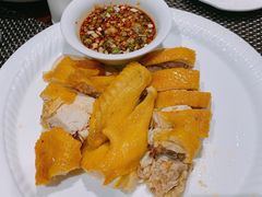 安铺鸡-金龙寨(解西店)