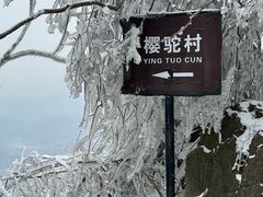 -紫金山山顶公园