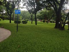 -晓港公园