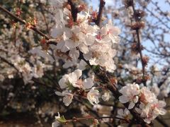 -白塘生态植物园