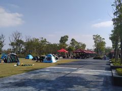 -春花秋色城市公园