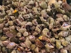 -巽寮印象美食部落餐厅·海鲜·地方特色菜(惠州体验店)