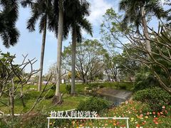 -云溪植物园