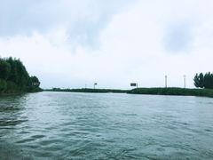 -白洋淀景区