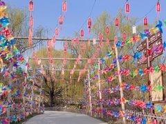 -北京西山国家森林公园