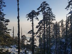 -瓦屋山景区