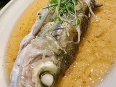 -老洋房花园饭店(绍兴路店)