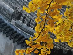 -红螺寺