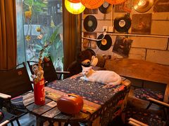 -树洞桌游宠咖小酒馆