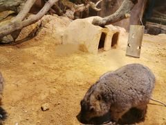 -正佳雨林生态植物园