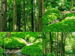 -成都市活水公园