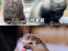 -亚龙湾亚泰商业街