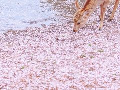 -再回首鸡肉米线(人民路一店)