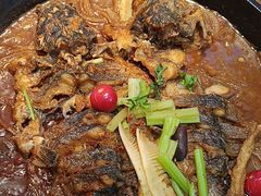 -老板恋上鱼(印象城店)