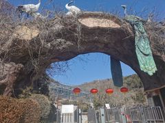 -石老人观光园