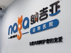 -纳吉亚猫专科动物诊疗中心(蒋宅口分院)