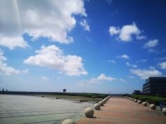 -南汇嘴观海公园