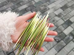 -南湖国家城市湿地公园