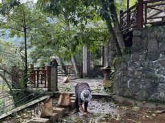 -东天目山风景区