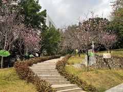 -广东中医药博物馆