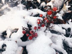 -安阳东站