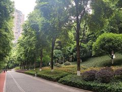 -龙头寺公园