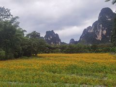 -明仕田园