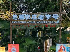 -芭厘农庄老字号·清远鸡