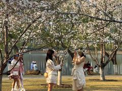 -西北湖绿化广场