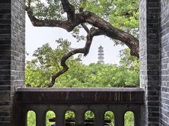 -江心屿景区