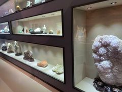 -陕西自然博物馆