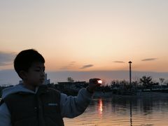 -九龙湖公园