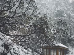 -黄龙山原始森林景区