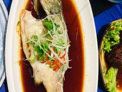 -鱼翅楼·津派砂锅鱼翅(水上公园店)